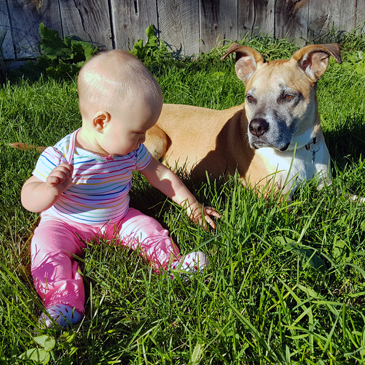 Baby and dog sitting beside each other in the grass