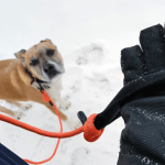Mighty Paw Rope Leash